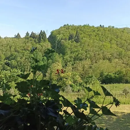 度假居 Rustico Con Dependance