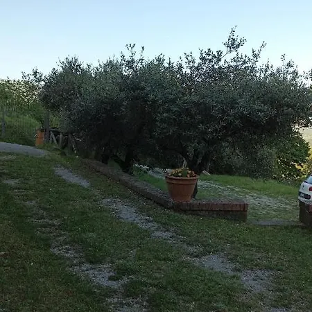 Rustico Con Dependance Holiday home Poggio (Lucca)